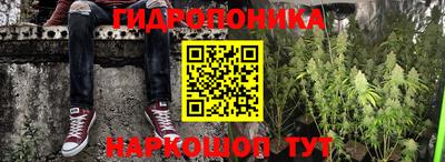 прущая мука Пугачёв