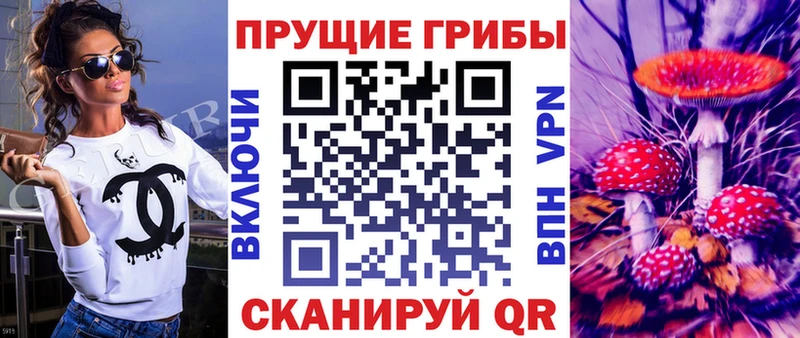 хочу наркоту  Сургут  Псилоцибиновые грибы прущие грибы 