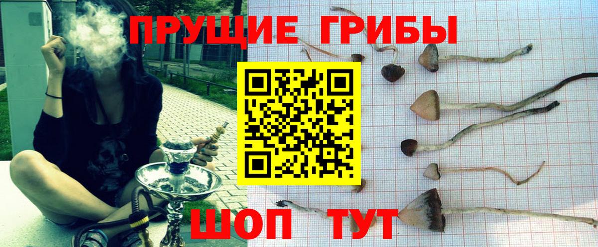 Галлюциногенные грибы мицелий Сургут
