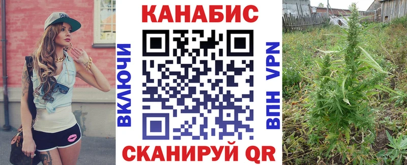 блэк спрут ссылка это состав Сургут Бошки марихуана VHQ закладки